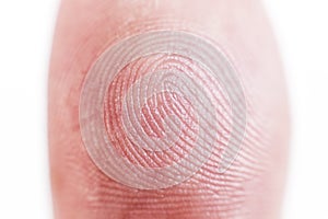 Macro shot fingerprint