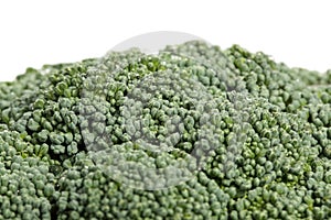 Macro shot of the flower head of a fresh, organic broccoli cabbage with copy space. Isolated on white