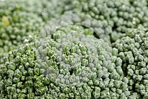 Macro shot of the flower head of a broccoli cabbage. Shallow depth of field. Green natural food background texture