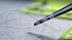 Macro shot of forensic csi police officer collecting hair sample as evidence on crime scene