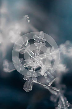 Macro Shot of Frozen Snowflake 2