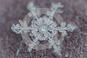 Macro Shot of Frozen Snowflake 5