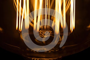 Macro shot of glowing Edison lamp.