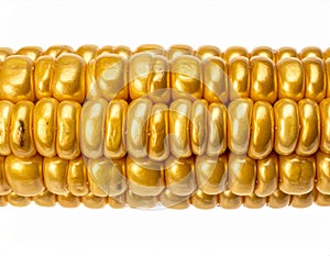 Macro Shot of Golden Corn Cob on White Background Close up View