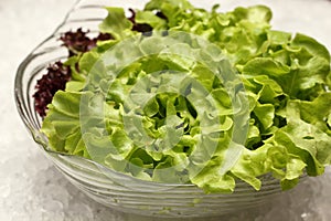 Macro shot green hydroponically lettuce leaves