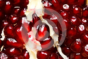 Macro shot of grenadine seeds photo