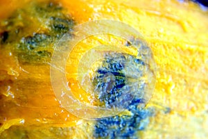 Rotten mango skin inside