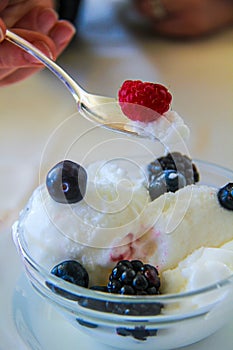 Macro shot of lemon ice cream cup with blackberries and raspberries