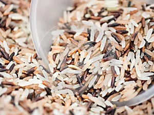 Macro shot of mixed raw rice