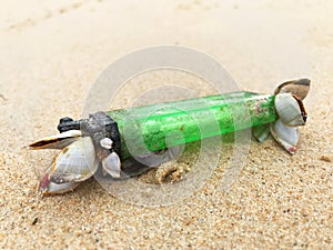 Macro shot of old green plastic lighter covered with shells on a beach