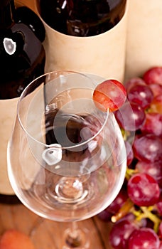 Macro shot of one red grapes berry