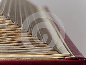 Macro shot of pages of an old book on a white background