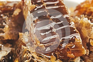 Macro shot of pieces of honeycomb