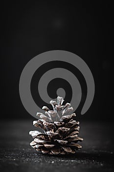 Macro shot of the pinecone