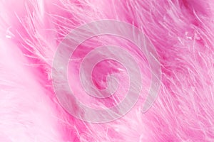 Macro shot of pink bird fluffy feathers in soft