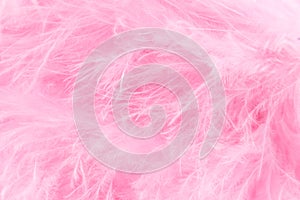 Macro shot of pink bird fluffy feathers in soft and blur style