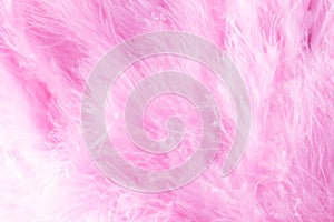 Macro shot of pink bird fluffy feathers in soft and blur style