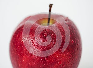 Macro shot of red apple isolated on white background