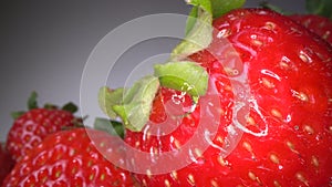 Macro shot of red juicy strawberry on dark background. Sweet harvested berry background, healthy food lifestyle