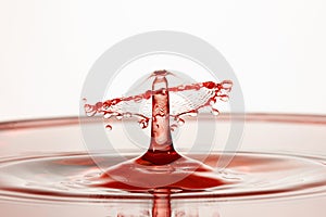 Macro shot of red water drop collision with abstract effect against a white background