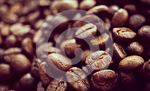 Macro shot of roasted coffee bean