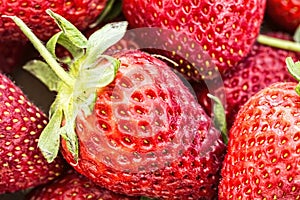 Macro shot of rotten strawberries