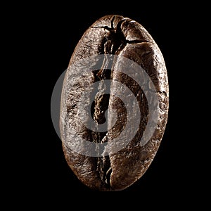 Macro shot of seed on isolated black background, close-up