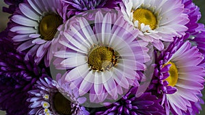Macro shot showcases the beauty of a bouquet of flowers