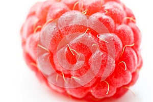 Macro shot of single tasty raspberry
