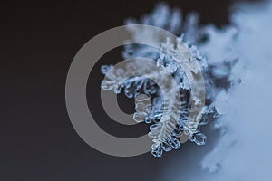 Macro Shot of Snow Flake Crystal