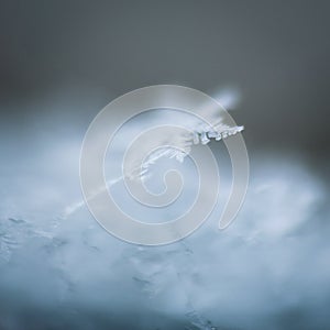 Macro shot of a snowflake under the lights against a blurry background