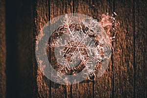 Macro shot of a snowflake on a wooden surface