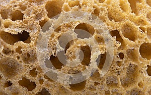 Macro shot of a sponge used in the bathroom.