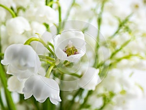 Macro shot of sweetly scented, pendent, bell-shaped white flowers of Lily of the valley Convallaria majalis in a bouquet