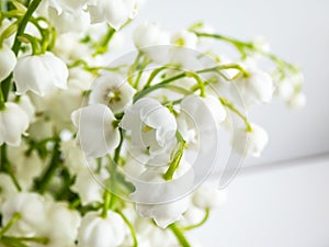 Macro shot of sweetly scented, pendent, bell-shaped white flowers of Lily of the valley Convallaria majalis in a bouquet