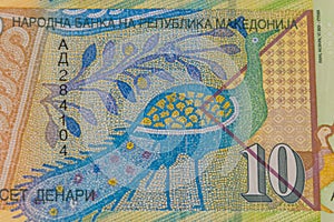 Macro shot of ten macedonian denar banknote