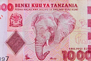 Macro shot of ten thousand tanzanian shillings banknote