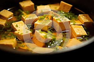 macro shot of tofu cubed pieces in the miso soup