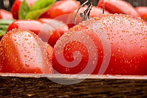 A Macro Shot Of Tomatoes With Waterdrops