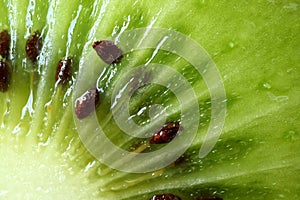 Macro Shot of Vibrant Green Fresh and Juicy Ripe Kiwi Fruit`s Meat and Seed, for Background