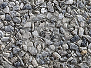 Macro Shot of a Wall Pattern