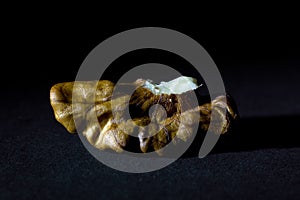 Macro Shot of a Walnut on Black Background