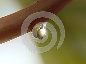 Macro shot of water drop over the green grass leaf , relaxation with water ripple drops concept