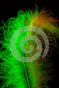 Macro shot of white feather, hairgrip in green and red light on black background photo