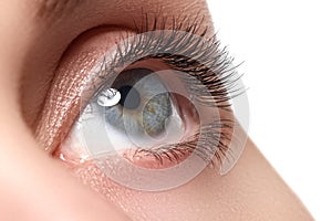 Macro shot of woman's beautiful eye with extremely long eyelashes