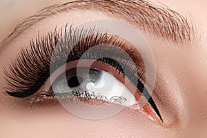 Macro shot of woman`s beautiful eye with extremely long eyelashes