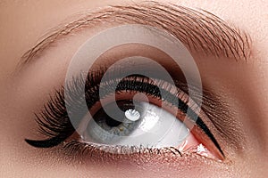 Macro shot of woman`s beautiful eye with extremely long eyelashes