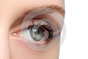 Macro shot of woman's beautiful eye with extremely long eyelashes. view, sensual look. Female eye with long eyelashes photo