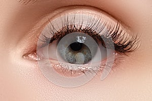 Macro shot of woman's beautiful eye with extremely long eyelashes. view, sensual look. Female eye with long eyelashes