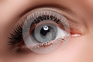 Macro shot of woman's beautiful eye with extremely long eyelashes. view, sensual look. Female eye with long eyelashes